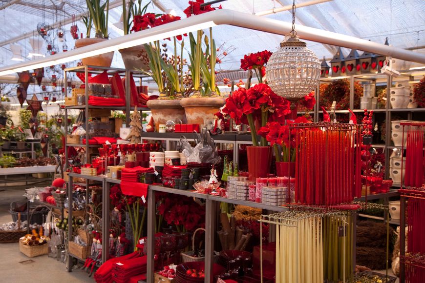 Drivstua&nbsp;blomster&nbsp;jul-11