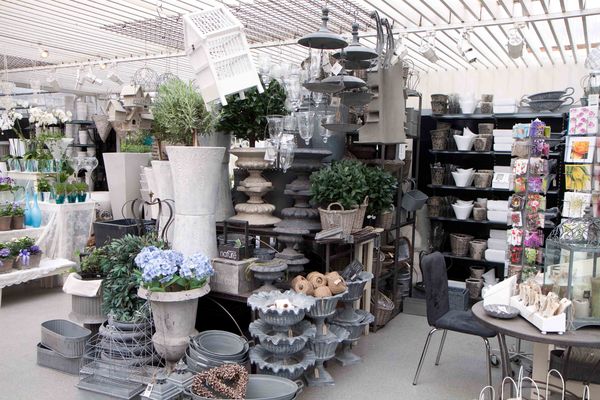 Drivstua blomster april