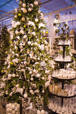 Drivstua gartneri-6918