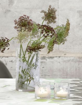 495713_HurricanesSavannaMeadow