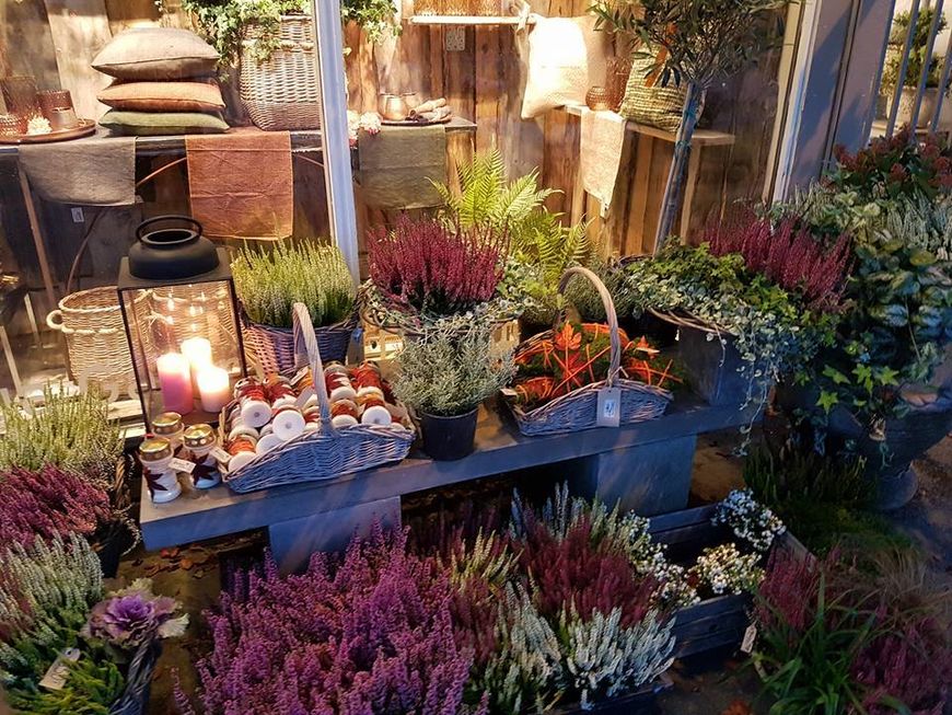 drivstua&nbsp;høst&nbsp;12