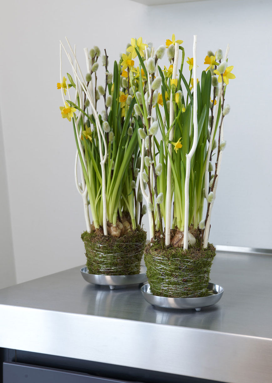 paaskeliljer_og_gaasunger